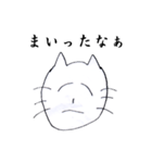 腹の立つ猫（個別スタンプ：23）