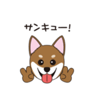 犬達のスタンプ（個別スタンプ：9）