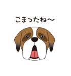 犬達のスタンプ（個別スタンプ：12）