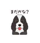 犬達のスタンプ（個別スタンプ：30）