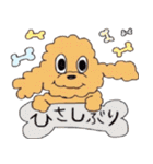 トイプードルLOVE -日常系-（個別スタンプ：15）