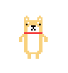 柴犬 ドット絵すたんぷ（個別スタンプ：1）