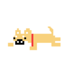 柴犬 ドット絵すたんぷ（個別スタンプ：10）