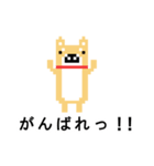 柴犬 ドット絵すたんぷ（個別スタンプ：38）