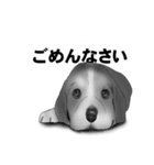 白黒の犬たち（個別スタンプ：5）