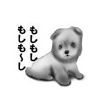 白黒の犬たち（個別スタンプ：10）