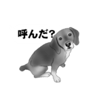 白黒の犬たち（個別スタンプ：12）