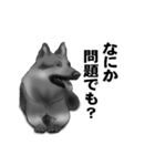 白黒の犬たち（個別スタンプ：25）