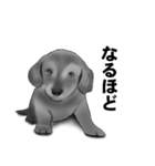 白黒の犬たち（個別スタンプ：28）