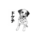 白黒の犬たち（個別スタンプ：34）