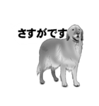 白黒の犬たち（個別スタンプ：37）