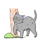 Moong The Korat Cat（個別スタンプ：40）