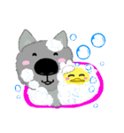 Dog and eggshell duck  life（個別スタンプ：24）