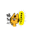 おこねこ（個別スタンプ：33）