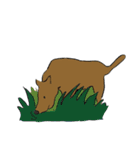 MR CUP（個別スタンプ：38）