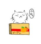 白い猫ふくしき（個別スタンプ：4）