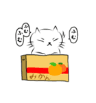 白い猫ふくしき（個別スタンプ：5）