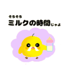 ぴよじい（個別スタンプ：5）