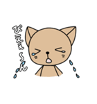 ねこたさんとねこみさん（個別スタンプ：23）