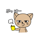 ねこたさんとねこみさん（個別スタンプ：28）