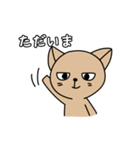 ねこたさんとねこみさん（個別スタンプ：35）