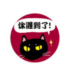 Cat's Talk！（個別スタンプ：22）