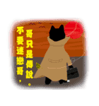 Cat's Talk！（個別スタンプ：30）