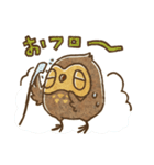 フクロウとミミズク（個別スタンプ：7）