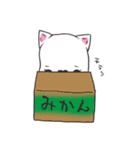 ひげぬこ（個別スタンプ：39）