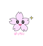 さくらぴっぴ（個別スタンプ：14）