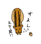 新こんももリス（個別スタンプ：6）