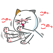 タマ川 ヨシ子（猫）祝！第10弾！の画像