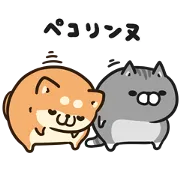 ボンレス犬＆猫×ライブドアニュースの画像
