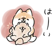 [無料LINEスタンプ] 毎日使える♪ほんわかしばいぬ×リナビス