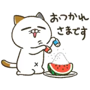 動く！夏のタマ川ヨシ子（猫）第32弾の画像