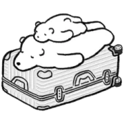 RIMOWA × makomoの画像