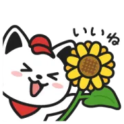 [LINEスタンプ] 出前にゃんスタンプ～夏～