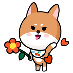 [LINEスタンプ] ケンちゃんの画像（メイン）