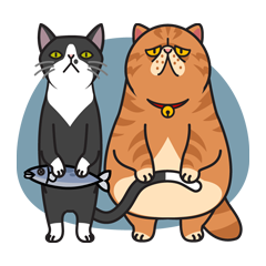 [LINEスタンプ] 猫のプライベートの画像（メイン）