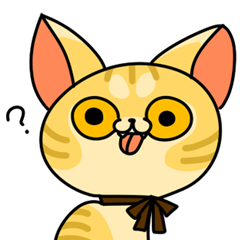 [LINEスタンプ] 猫みかんさんの画像（メイン）