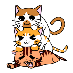 [LINEスタンプ] 3姉妹ねこ