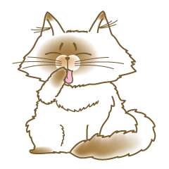 [LINEスタンプ] ヒマラヤンネコ ひまおの画像（メイン）