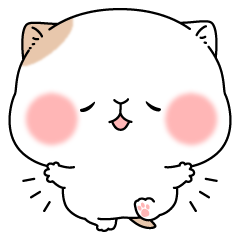 [LINEスタンプ] もちねこスタンプの画像（メイン）