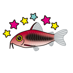 [LINEスタンプ] 熱帯魚の仲間達の画像（メイン）