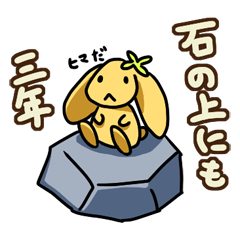 [LINEスタンプ] ことわざウサギのピノの画像（メイン）