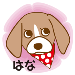 [LINEスタンプ] きまぐれビーグルはなの画像（メイン）