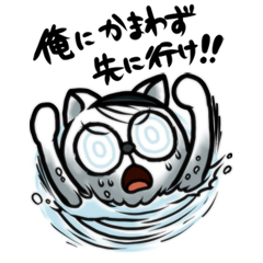 [LINEスタンプ] 進め！アニマル劇団の画像（メイン）