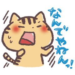 [LINEスタンプ] 関西弁にゃんこスタンプ