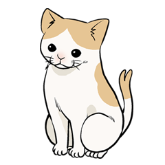 [LINEスタンプ] 猫又スタンプの画像（メイン）