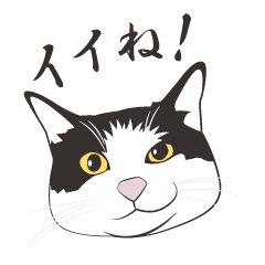 [LINEスタンプ] ぬこの気持ち